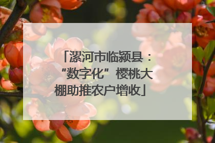 漯河市临颍县：“数字化”樱桃大棚助推农户增收